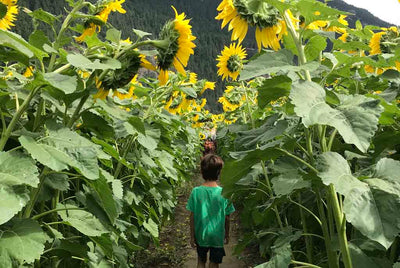 <b>Green Time Over Screen Time: Ideas for Kids to Spend More Time in Nature</b>