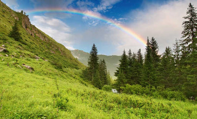 <b>The Symbolism of Rainbows—and Why We Love Them</b>